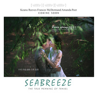 �����贺��Ψ��ɭϵ���տ�Ƭ�������ļ���