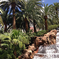 Vegas Vegas