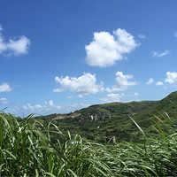 붴