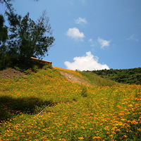 �ϴ�µ�����ƪ ��������