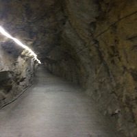 �����Կ�