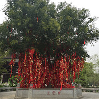 ������������������