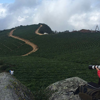 ٺͩɽտӲι۲賧Ʒ۾ֻΪ㣡