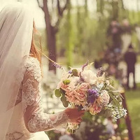 ֪�����ڻ�����Ϊɶ��ô�����������ˣ�