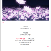 컨ˮĻƹ⣬ûİ쵣