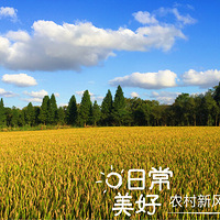 ũ嵾ʱ