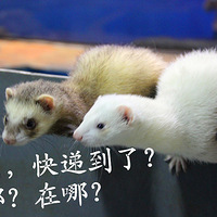 ֽں󣬺綯ֱ show
