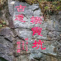 ϼŵ羰˸