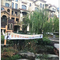 ��̨�ݰ�����˹���Ż�ɴȥ���Ρ�+˭�����������ŵ���