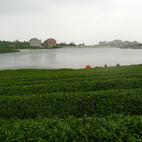 (л)124ٺӲժＰСֺ֥ʤӴһ