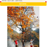 ټͽ|ɫϵл֮ϻƹŵУ