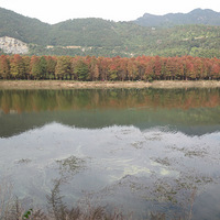 ʱëĺ֣Сֺ֥͹ֱ̹Ƚ