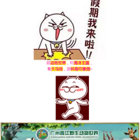 [ڴ|ݳ¡]ǣС,ڴֳ¡