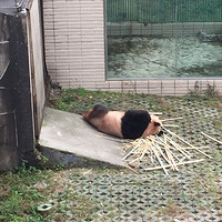 ô飬ĸƬߣֵס