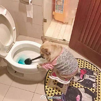 �ܽ�Ļ�ǰ����ͻ����㣬�Բۣ�̫������