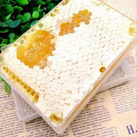 ԭ��̬�䳲��