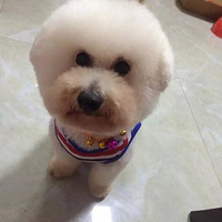 ���Ҽ�Ƥ����Ů����