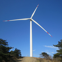 2017״¿СԽ1314롢⡢ݽ籮ߣ