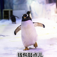 ��ϲ�����Ҳ������Ը������������������С��족��������