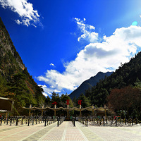 ջɶ-봨-կ-Ź--̨