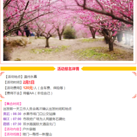 [ټ]ͽ|ؽ,÷Ũ,÷߹ŵԼ~~