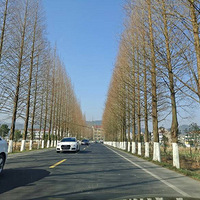 ���컹�ϰ�Ŀ�Ƶ�ȥ�������أ�ʡ������