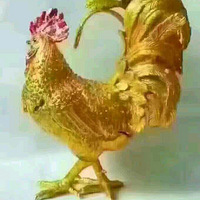 �ڽ���������������мƻ��Լ����뷨��
