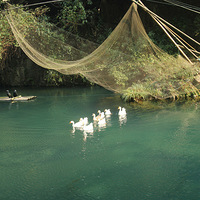 ζ.һ˲Ӧ֮.һĲ֮һһ