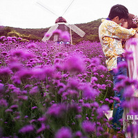 ��������ʻ�ɴ�����500������Χ�������ͣ�