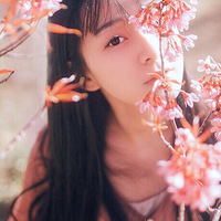 д�桾��Ӱʦ��