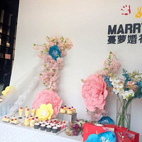 ��Ϊ�Լ���ͷɴ�����ܻ���ͷɴDIY����