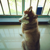 ������Ǯ�Ķ���������Ҫ�ڼ�ּ���