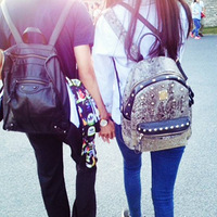 ��2017����Ҿ������ռǡ�ӵ�����ӵ��ȫ����