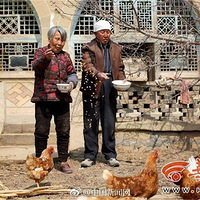 ����������һ���ͷ����