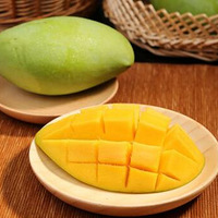 ��Խ����â��ܰ��ĿڸУ��ʺ�Ĺ��⣬��������ζ����