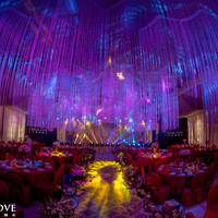 Dream Love����������Ʒ�ʻ��񡶻ԡ�