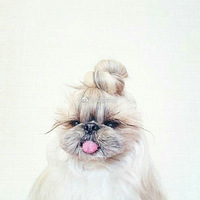 ����Ӱ.����Ҫ������