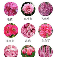 ÿ���µĻ������㰮����