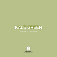 �������ݻ�ɴ��Ӱ����������Ƭ¡����Ϯ��С����ϵ�� #