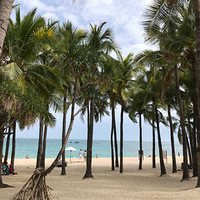 ������������