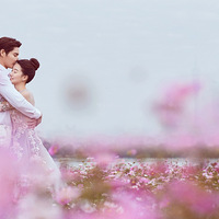 �������ݻ�ɴ��Ӱ��@ ��Ʒ�������ŷɰ��飬�ڷ�ɫ�λ���......