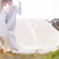 �����Ļ�ɴ�գ������ݽ������ѡ��ɴ���������