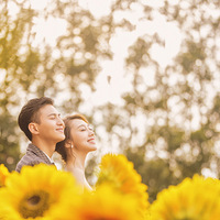 �����������������ݡ�# ����������Ʒ���ͣ����������~