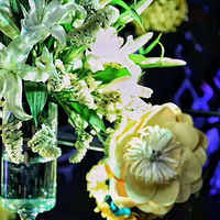 {����} ��һ�����������party