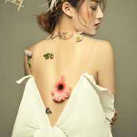 ��Ů������̨�ݻ���Ӱ����Ŷ��