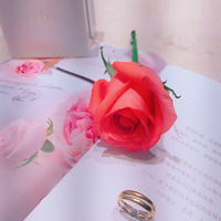 ����˵��������