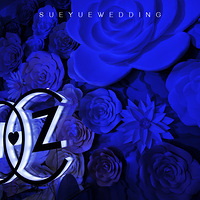 ���û����̫ƽ�����ӡ�Grace��