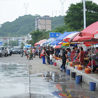 ����Ů�ѡ�ժ���˼�����