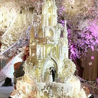 ��ľ����ױ��ɴ��ݡ�ӡ��LeNovelle Cake ͯ���Ǳ�����