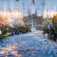 Dream Love����������Ʒ�ʻ���stray��